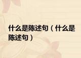 什么是陈述句（什么是陈述句）