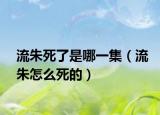 流朱死了是哪一集（流朱怎么死的）