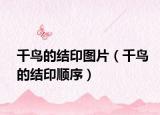 千鸟的结印图片（千鸟的结印顺序）