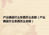 户尘螨是什么东西怎么去除（户尘螨是什么东西怎么去除）