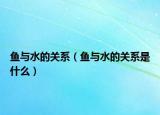 鱼与水的关系（鱼与水的关系是什么）