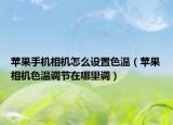苹果手机相机怎么设置色温（苹果相机色温调节在哪里调）