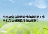小米10怎么设置软件自动更新（小米11怎么设置软件自动更新）