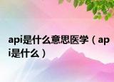 api是什么意思医学（api是什么）