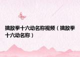 擒敌拳十六动名称视频（擒敌拳十六动名称）