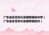 广东省东莞市长安镇有哪些中学（广东省东莞市长安镇有哪些村）