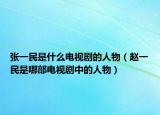 张一民是什么电视剧的人物（赵一民是哪部电视剧中的人物）