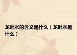 龙吐水的含义是什么（龙吐水是什么）