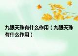 九眼天珠有什么作用（九眼天珠有什么作用）