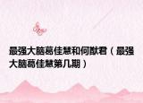 最强大脑葛佳慧和何猷君（最强大脑葛佳慧第几期）