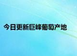 今日更新巨峰葡萄产地