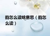 韵怎么读啥意思（韵怎么读）