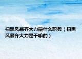 扫黑风暴齐大力是什么职务（扫黑风暴齐大力是干嘛的）