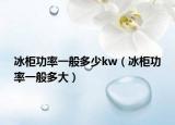 冰柜功率一般多少kw（冰柜功率一般多大）