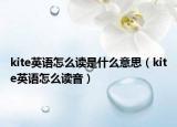 kite英语怎么读是什么意思（kite英语怎么读音）