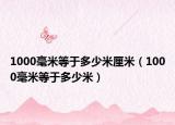 1000毫米等于多少米厘米（1000毫米等于多少米）
