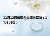 11月12月份适合去哪自驾游（11月 月份）
