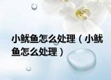 小鱿鱼怎么处理（小鱿鱼怎么处理）