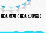 巨山福苑（巨山在哪里）
