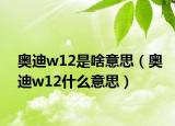 奥迪w12是啥意思（奥迪w12什么意思）