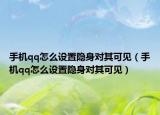 手机qq怎么设置隐身对其可见（手机qq怎么设置隐身对其可见）