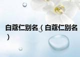 白蔻仁别名（白蔻仁别名）