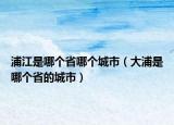 浦江是哪个省哪个城市（大浦是哪个省的城市）