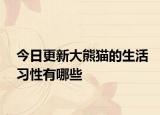 今日更新大熊猫的生活习性有哪些