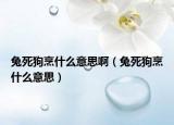 兔死狗烹什么意思啊（兔死狗烹什么意思）