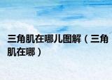 三角肌在哪儿图解（三角肌在哪）