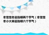 冬雪雪冬是指哪两个节气（冬雪雪冬小大寒是指哪六个节气）