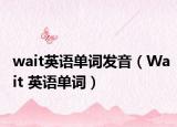 wait英语单词发音（Wait 英语单词）
