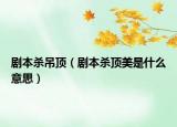 剧本杀吊顶（剧本杀顶美是什么意思）