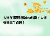大连在哪里能做dna检测（大连在哪里个省份）