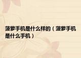 菠萝手机是什么样的（菠萝手机是什么手机）