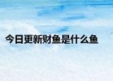 今日更新财鱼是什么鱼
