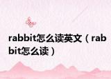 rabbit怎么读英文（rabbit怎么读）