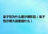 章子怡为什么是沙滩影后（章子怡沙滩大战是指什么）