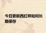 今日更新西红柿如何长期保存