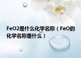 FeO2是什么化学名称（FeO的化学名称是什么）