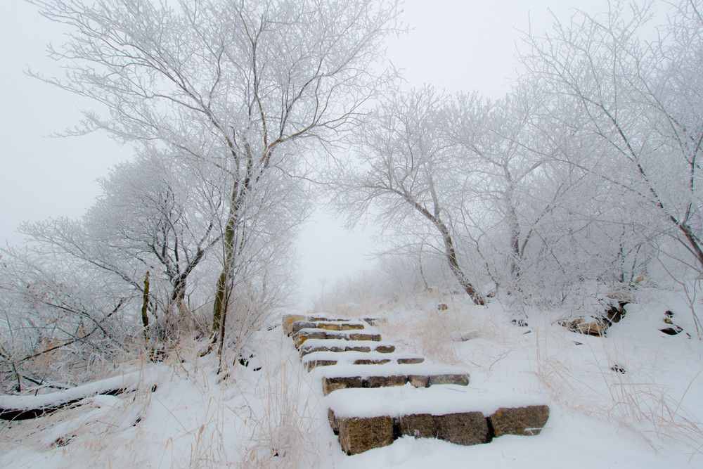 囊萤映雪中的主人公，小时候不向命运低头，长大后却被逼自杀