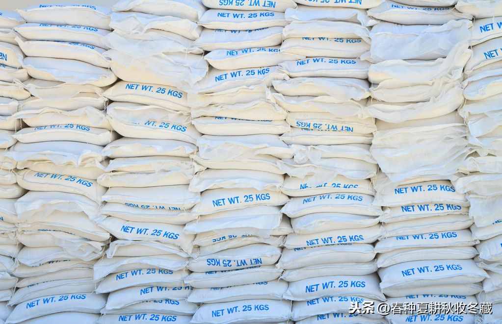 清塘生石灰，消毒漂白粉：水产养殖生石灰、漂白粉应该怎么用