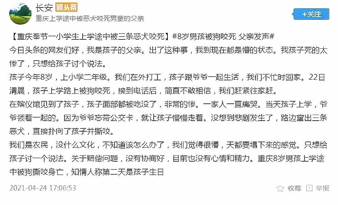 重庆8岁男童遭3只恶犬咬伤身亡！狗主人养犬喂生肉不栓绳，目前恶犬均被捕杀
