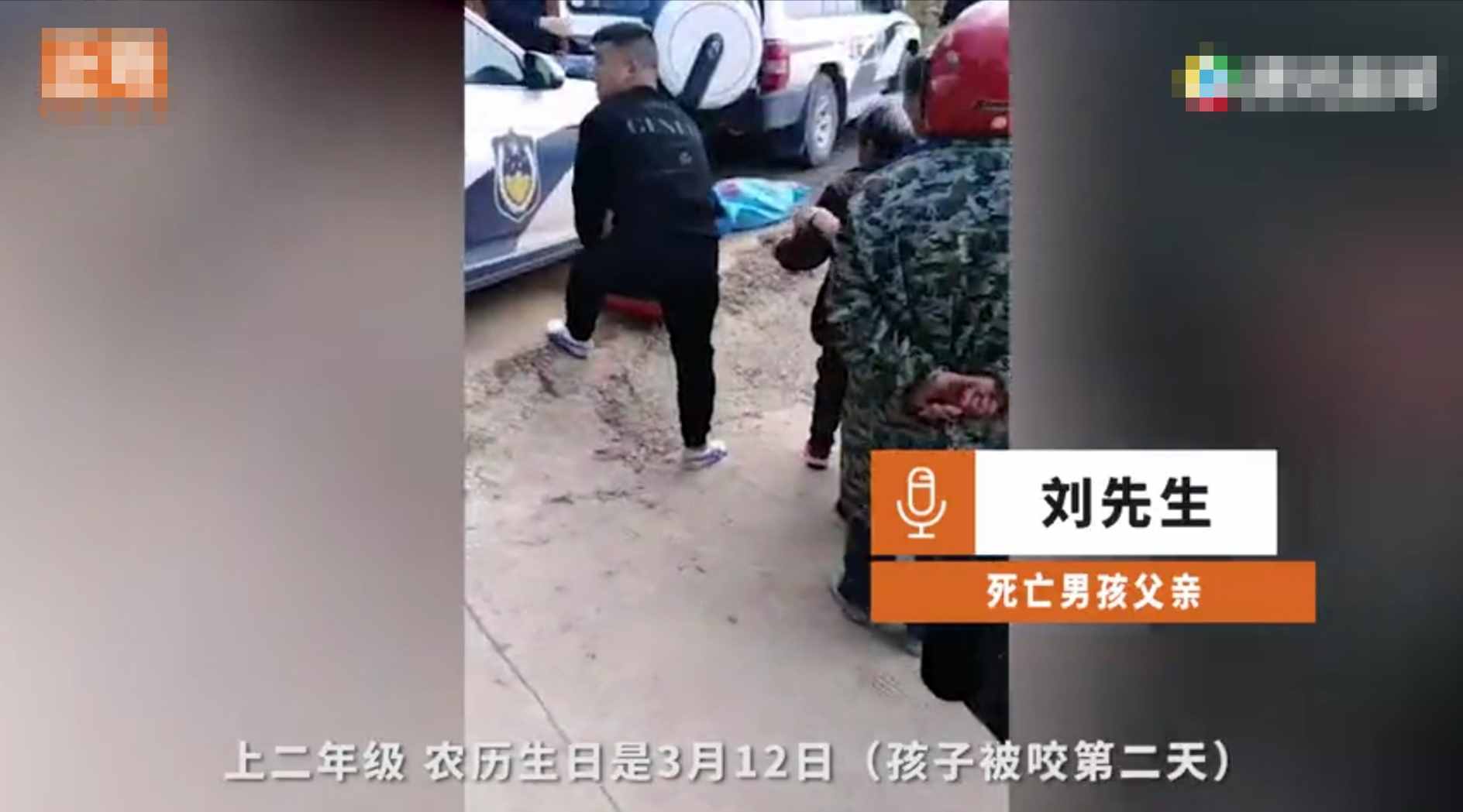 重庆8岁男童遭3只恶犬咬伤身亡！狗主人养犬喂生肉不栓绳，目前恶犬均被捕杀
