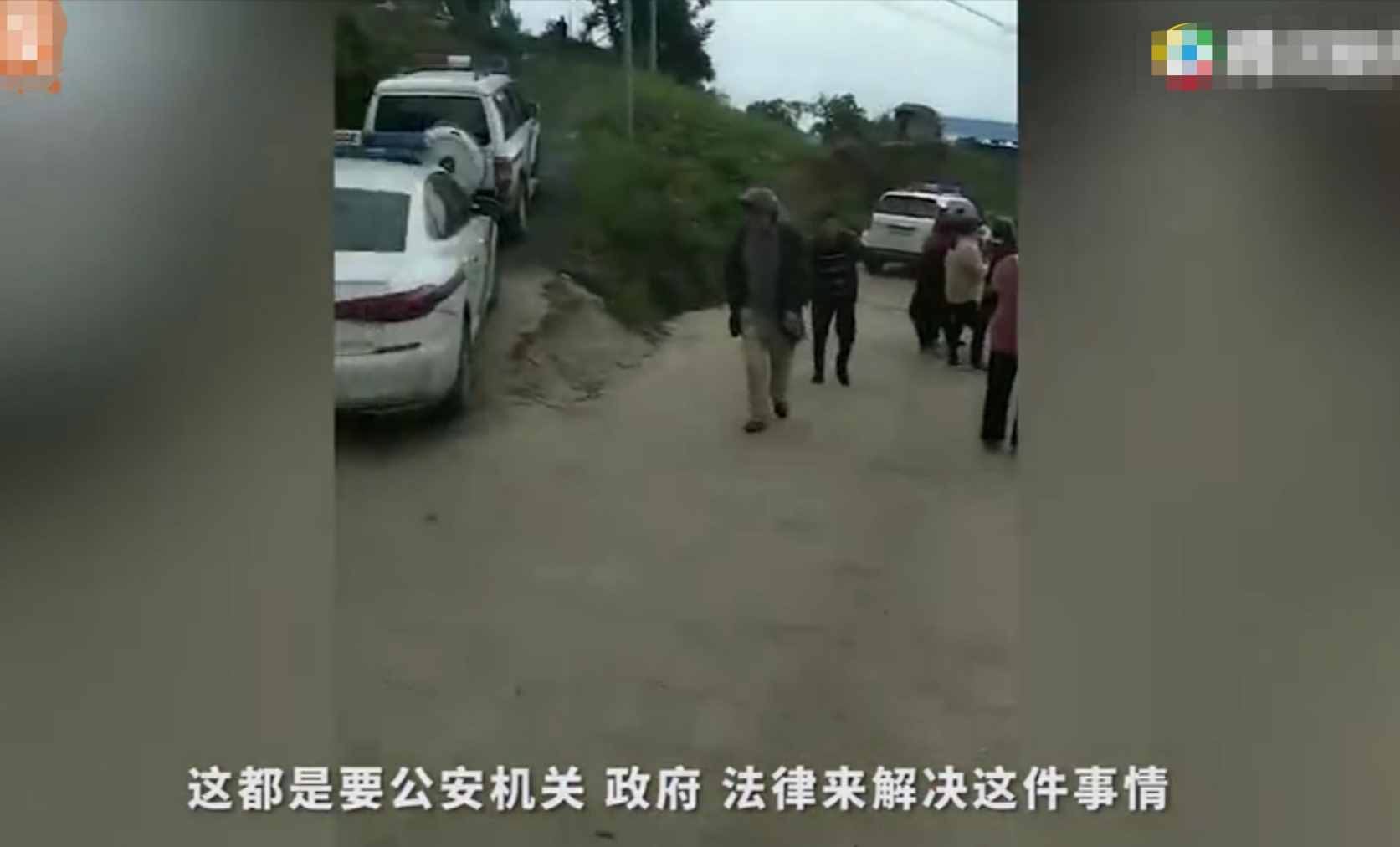 重庆8岁男童遭3只恶犬咬伤身亡！狗主人养犬喂生肉不栓绳，目前恶犬均被捕杀