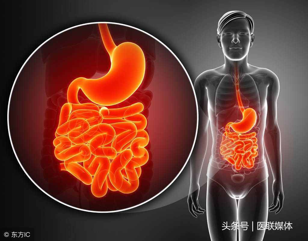 葛根粉可以空腹吃吗？这样吃或更健康，千万别错过了