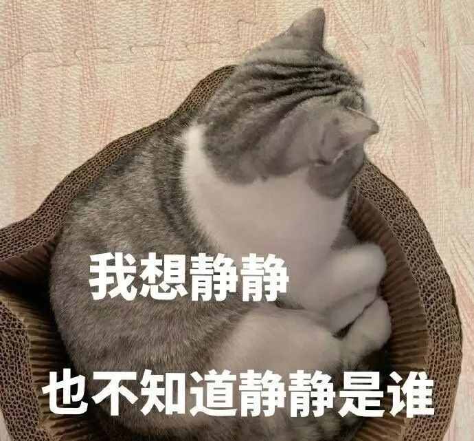 当老外对你说“busybody”时要注意了，他并不是在夸你