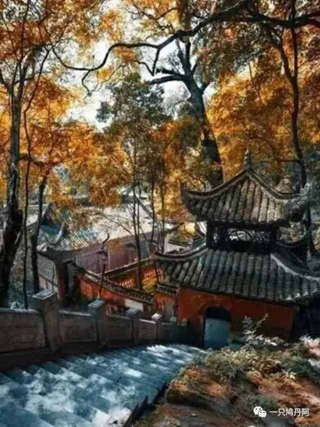 你知道苗族“四月八”的由来吗