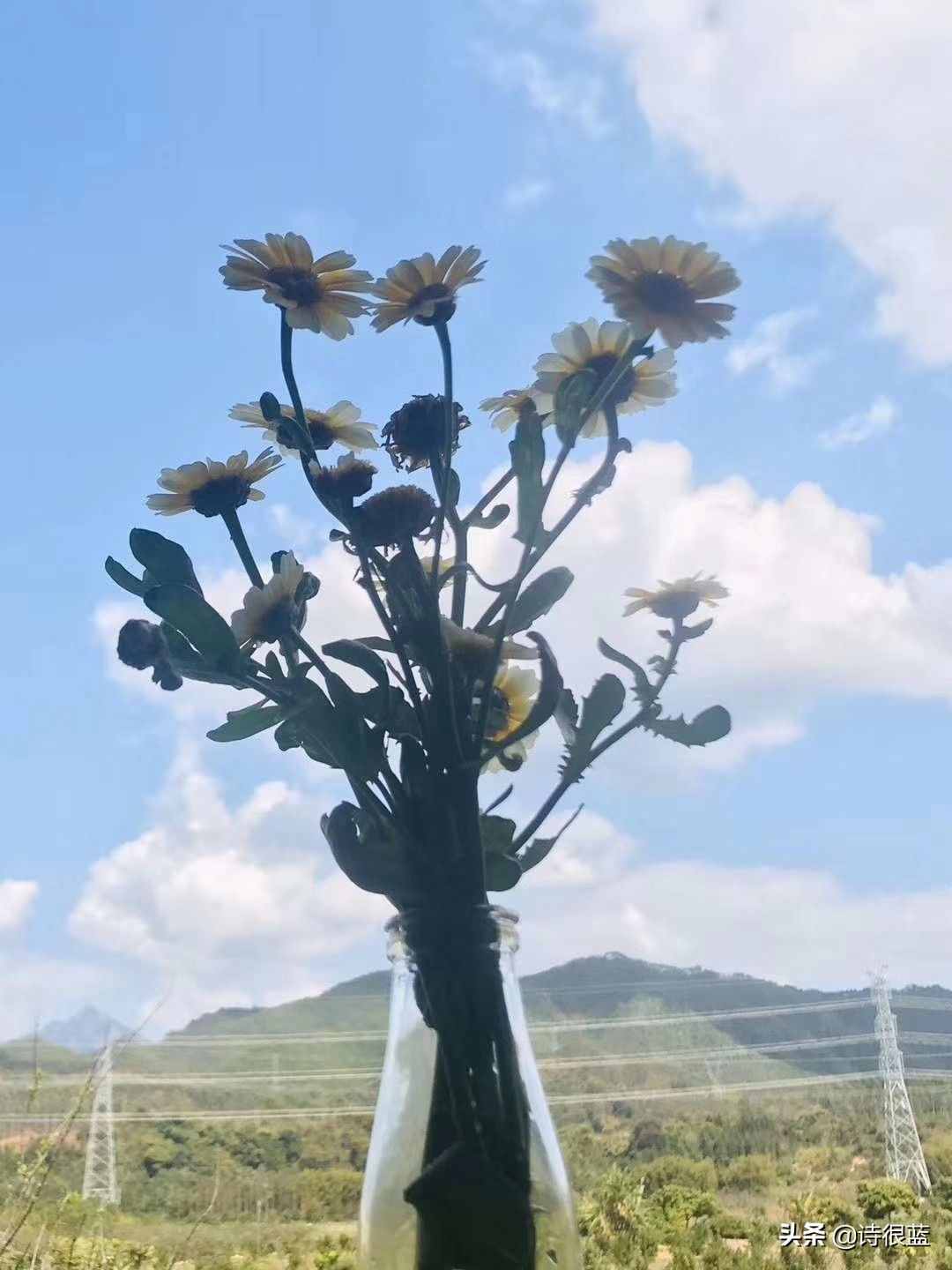 究竟什么样的终点才配的上这一路的颠沛流离