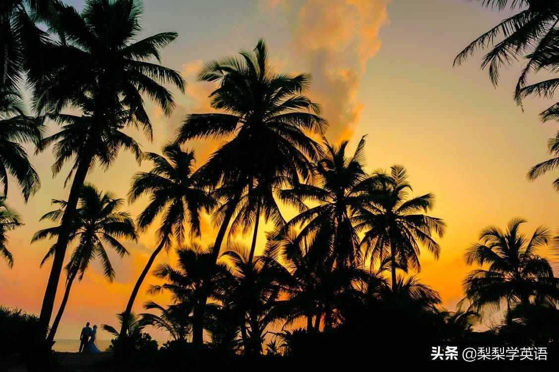 honey是蜂蜜，moon是月亮，那么honeymoon是什么意思呢？